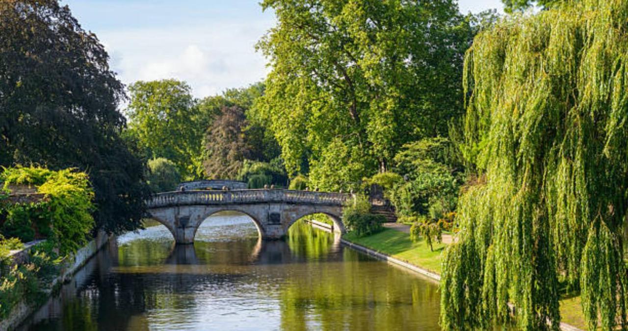 Stunning 1Br - Super Central- Peaceful Area - Lower Ground Apartment Cambridge Zewnętrze zdjęcie