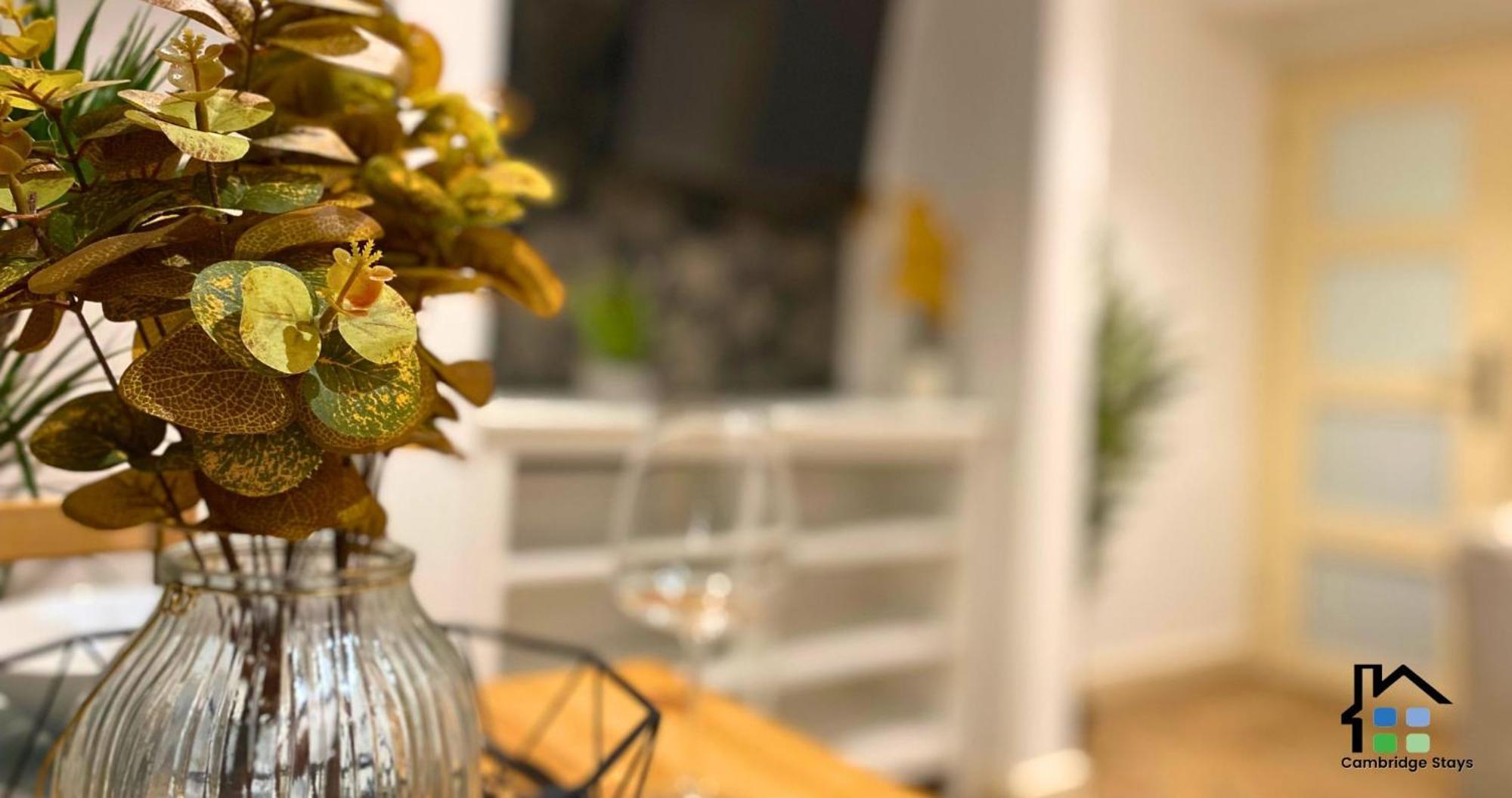 Stunning 1Br - Super Central- Peaceful Area - Lower Ground Apartment Cambridge Zewnętrze zdjęcie